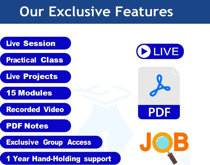 Digishasan Consulting Page